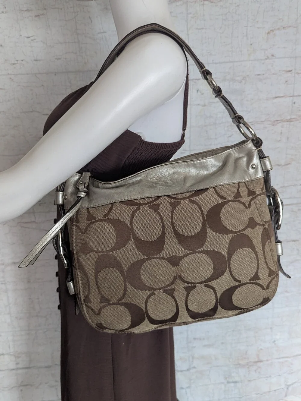 Coach Signature Canvas Hobo Bag in Brown and Metallic Taupe